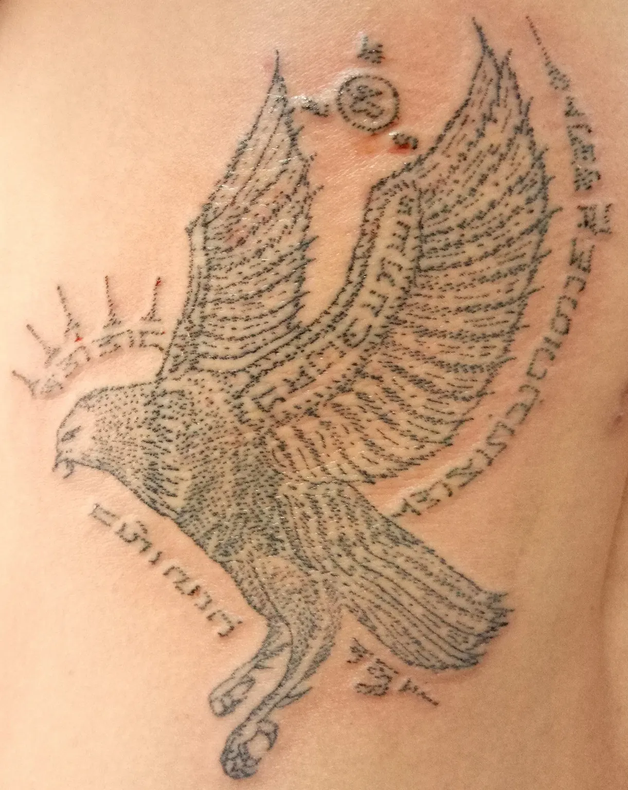 Eagle Sak Yant design tattooed along the ribs