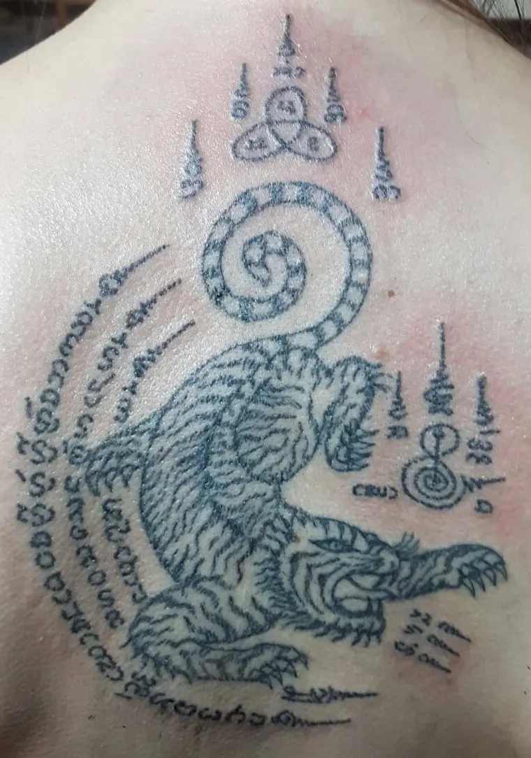 Suea tiger Sak Yant design tattooed on the back, with sacred script and spires